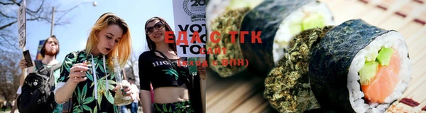 индика Бронницы