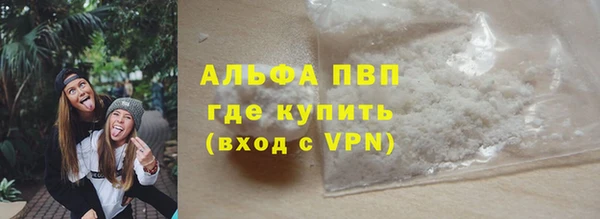 индика Бронницы