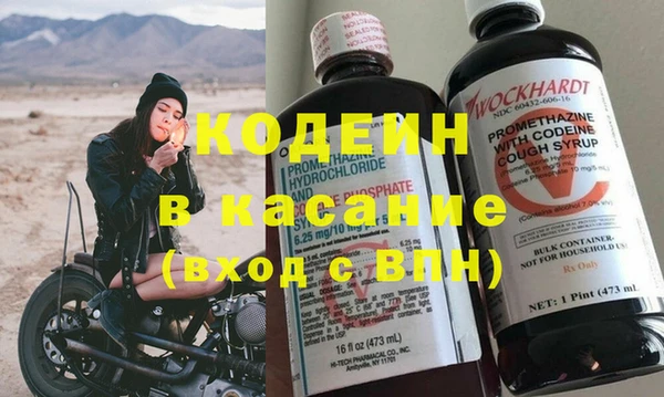 индика Бронницы