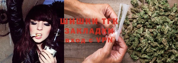 индика Бронницы