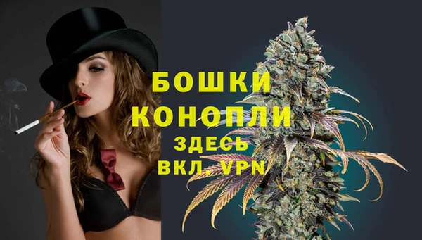 индика Бронницы