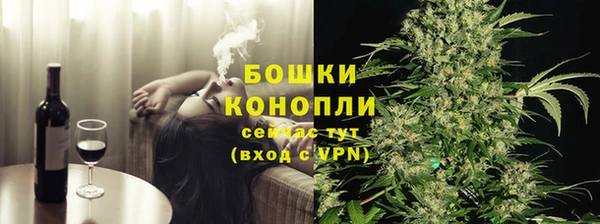 индика Бронницы
