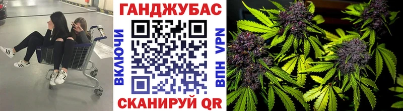 Конопля семена  Жиздра 